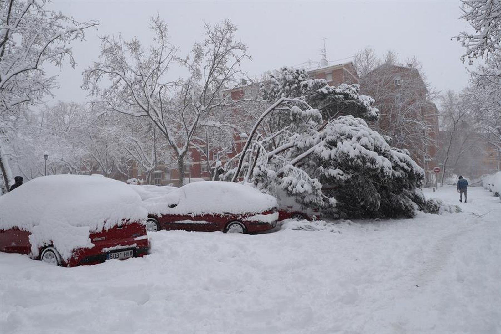 Coches sepultados por la nieve en la zona de Campamento