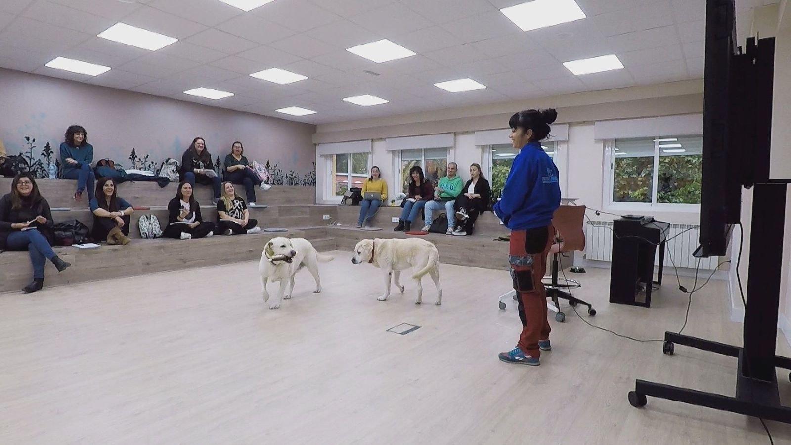 Educación asistida con perros para niños con trastornos del desarrollo