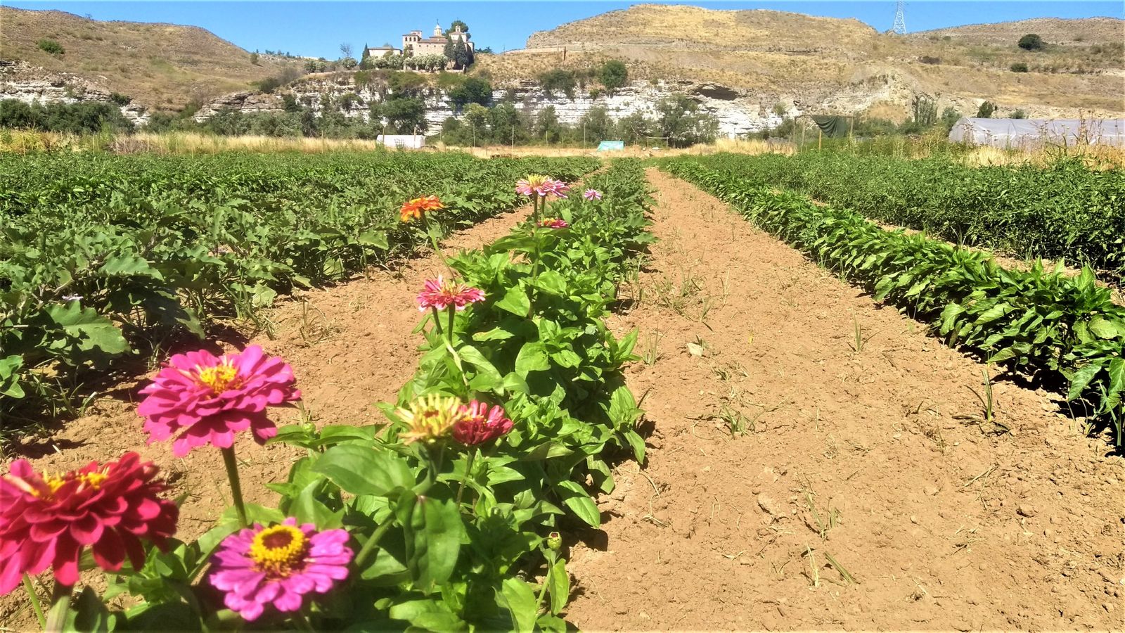 Parque agroecológico de Rivas Vaciamadrid