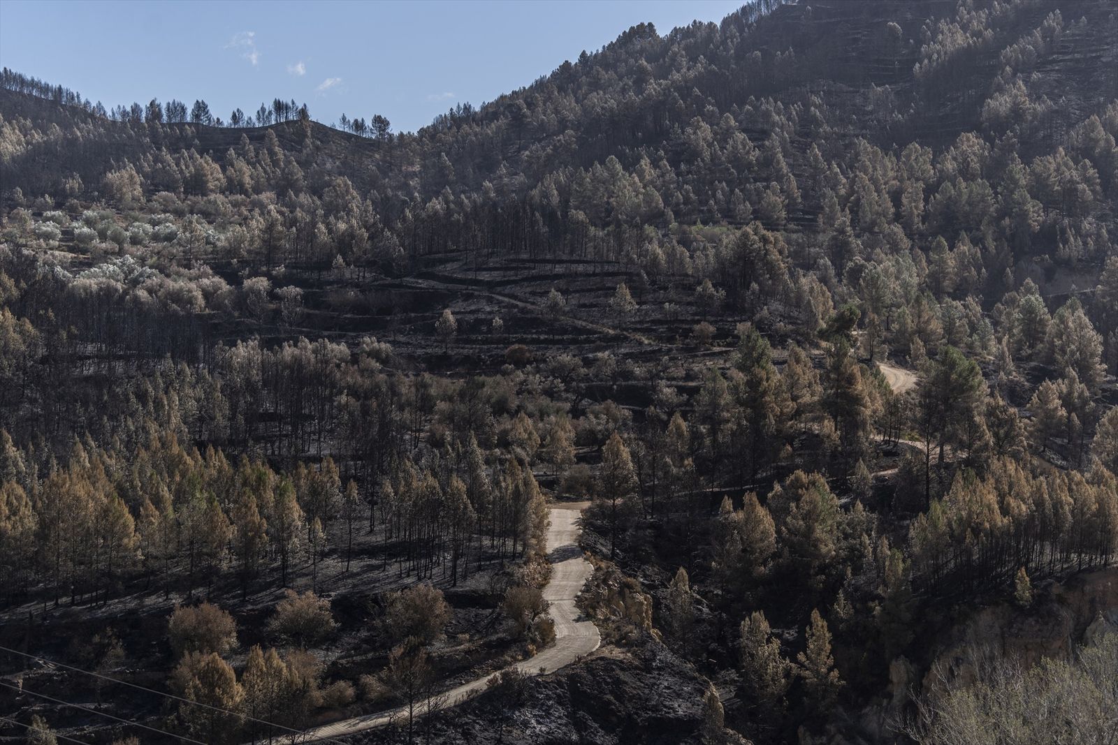Estado del monte tras el incendio forestal de Montón, Castellón, en abril de 2023