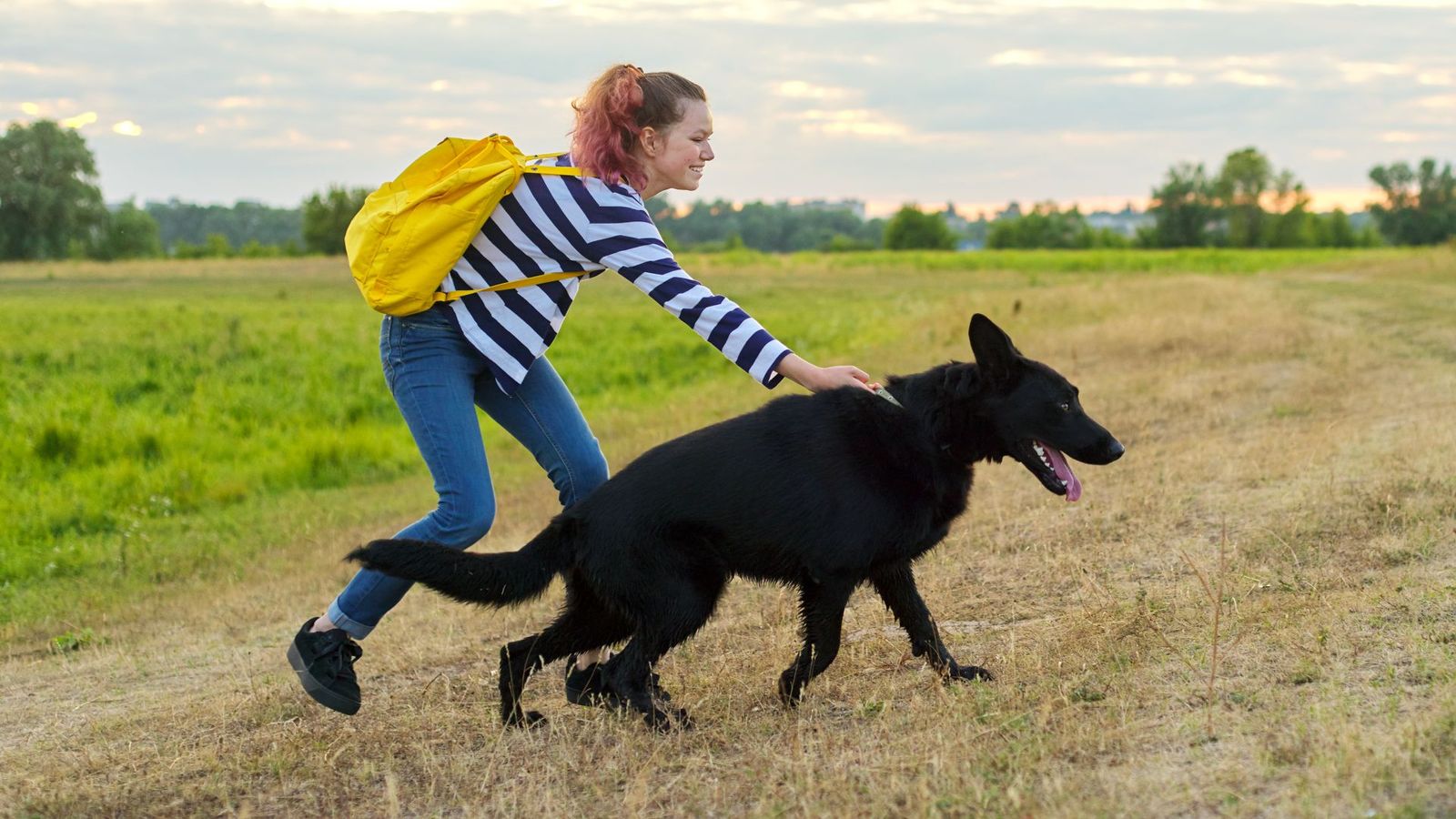 Talleres para mejorar la convivencia entre mascotas y vecinos en Ciudad Lineal