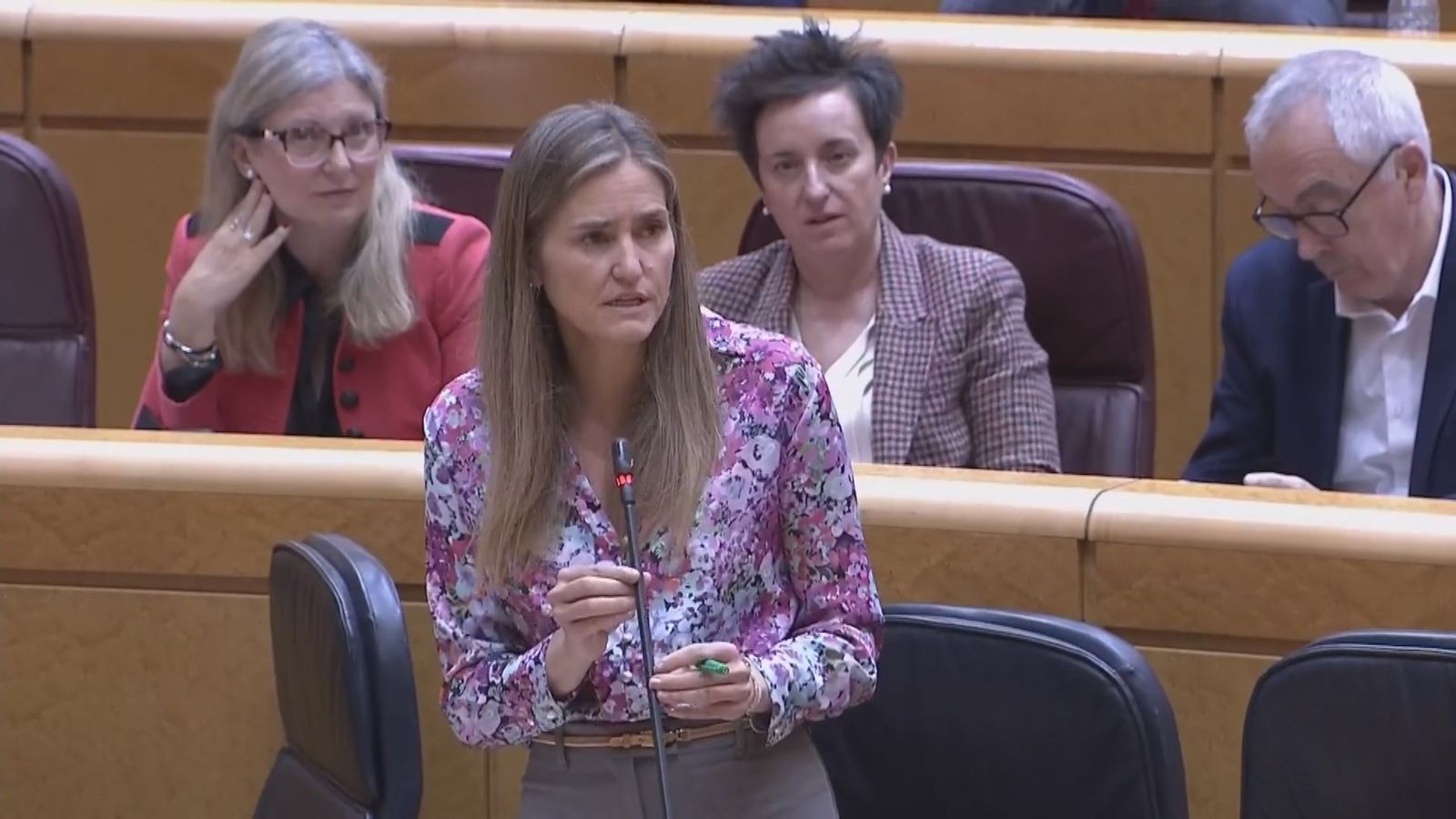 Sara Aagesen en el Senado