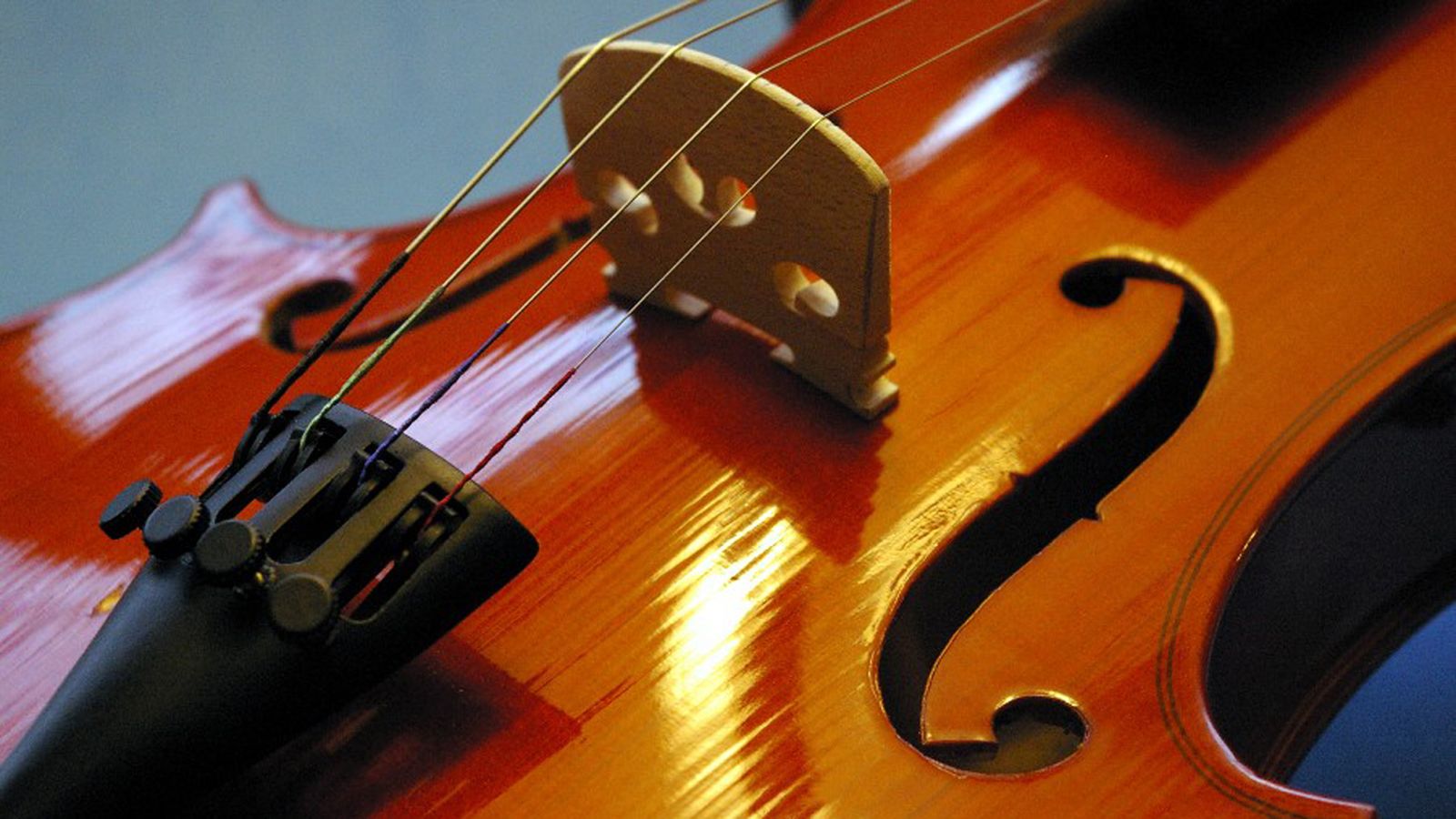 Violín