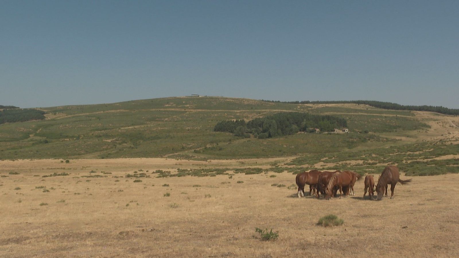 170 caballos bomberos, para prevenir incendios en la Comunidad de Madrid