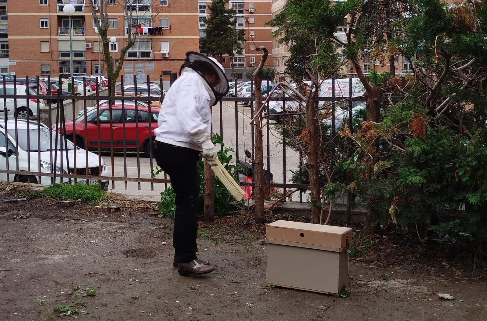 Una apicultora de Rivas 'salva' a vecinos de Vallecas de un enjambre de abejas