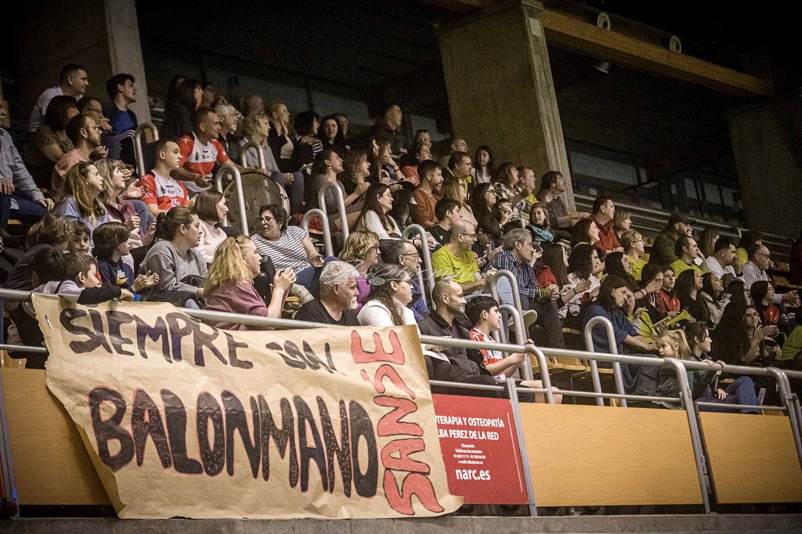 Afición del Balonmano Sanse