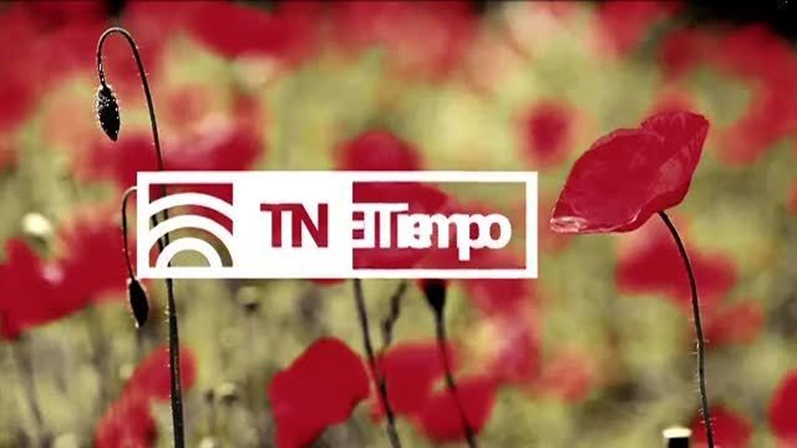 El Tiempo 1 16.11.2017