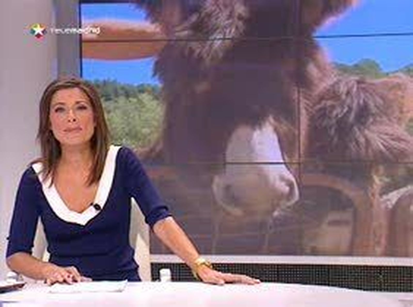 Negocio con burros