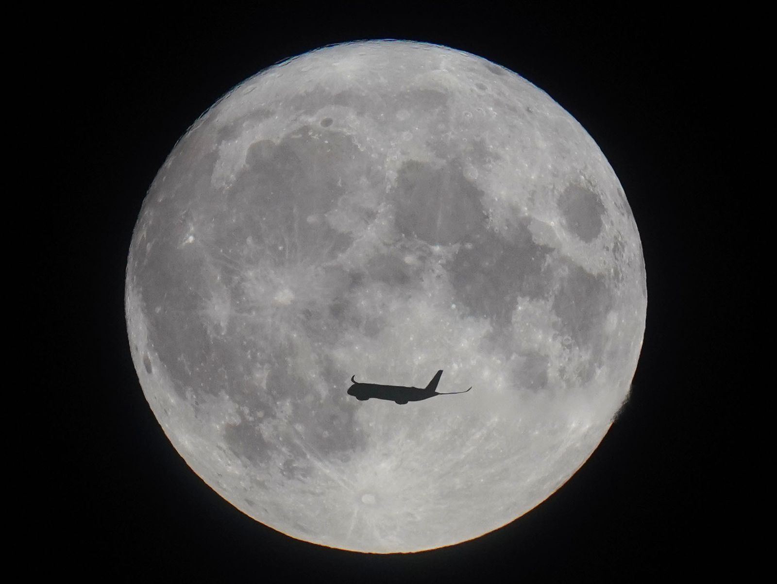Los científicos australianos buscan el modo de cultivar plantas en la Luna a partir de 2025