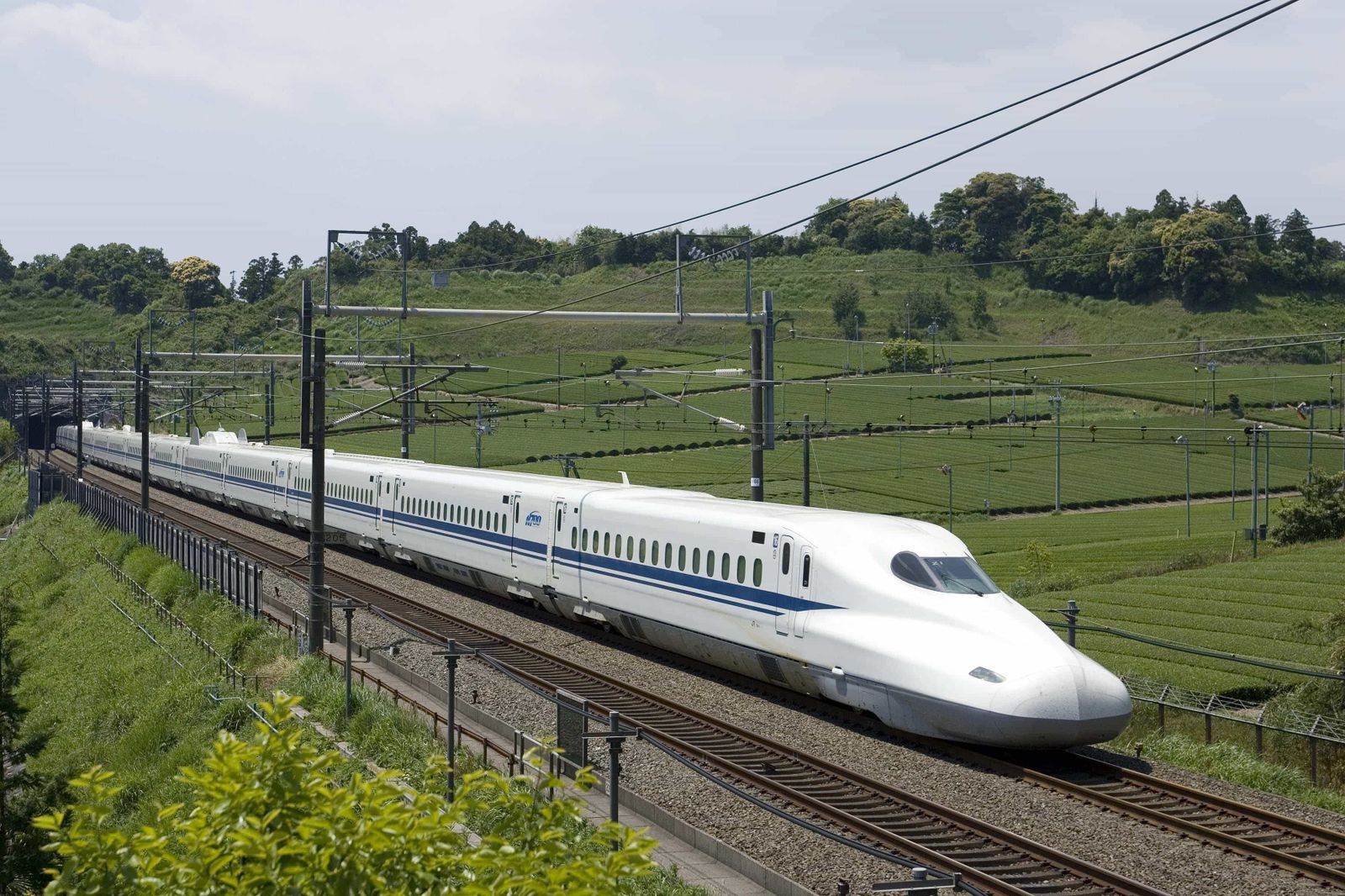 Shinkansen N700S, el tren elegido para la línea Dallas-Houston