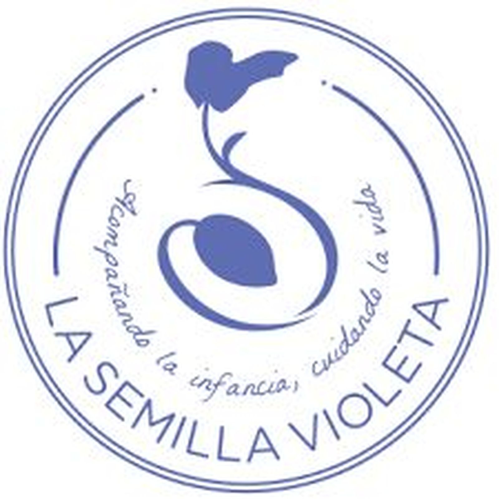La Semilla Violeta, la cooperativa que forma docentes