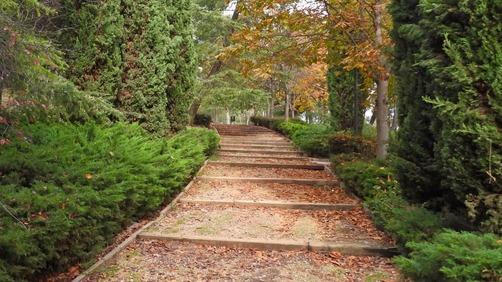 Parque de Caramul