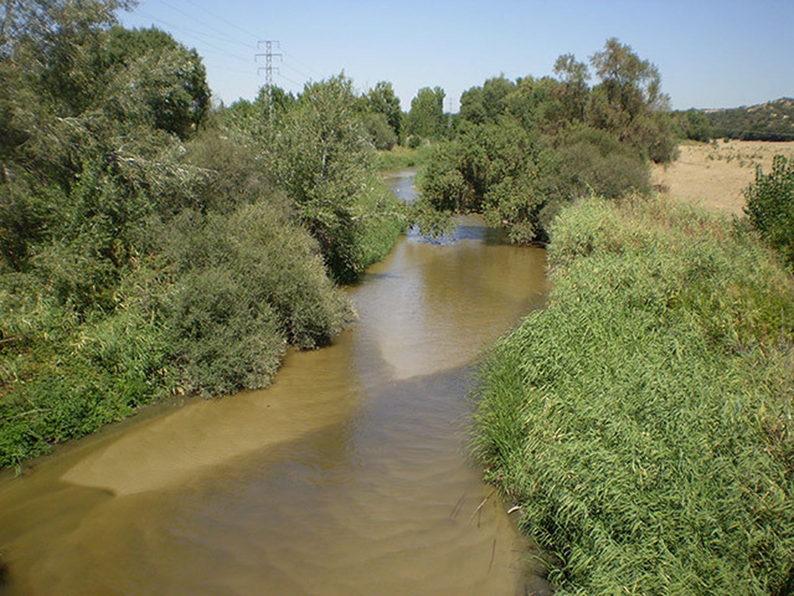 El río Guadarrama a su paso por Navalcarnero