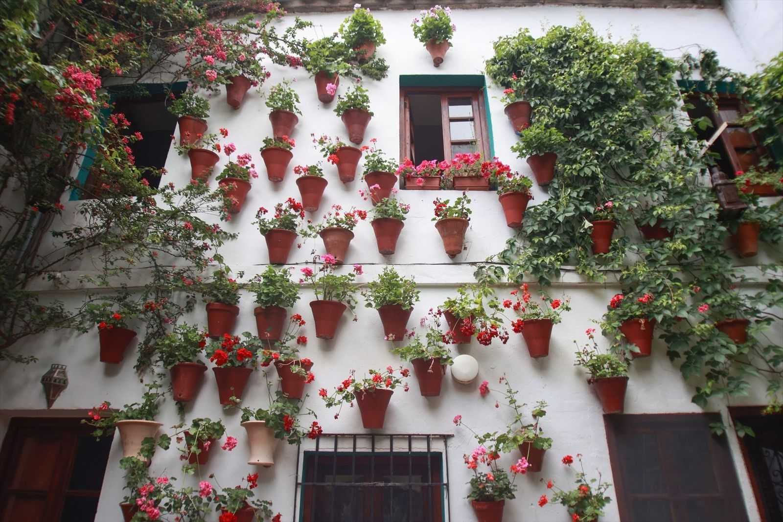 Los Patios de Córdoba reciben la visita de muchos madrileños