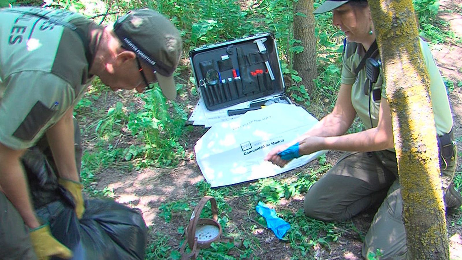 Agentes forestales