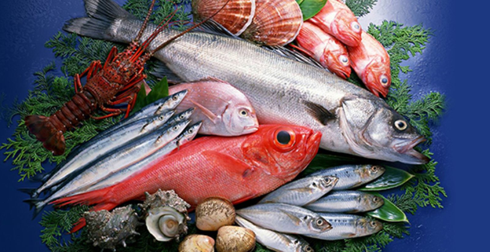 pescado123