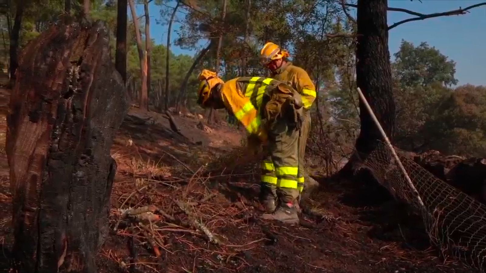Madrid envía más  medios  al incendio de Bartolomé de Pinares