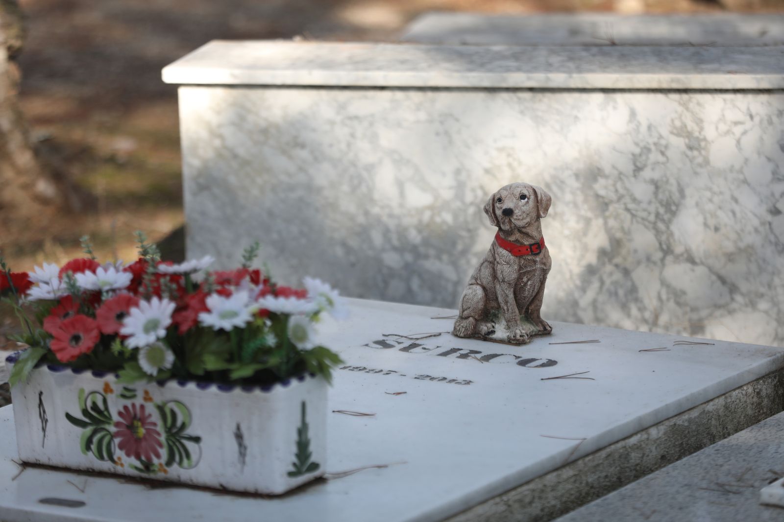 Tumba en el cementerio de animales de Arganda del Rey