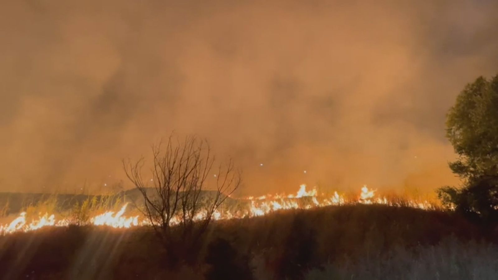 2000 hectáreas arrasadas en el incendio de Tres Cantos