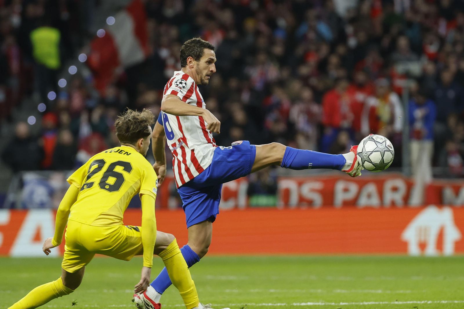 Koke