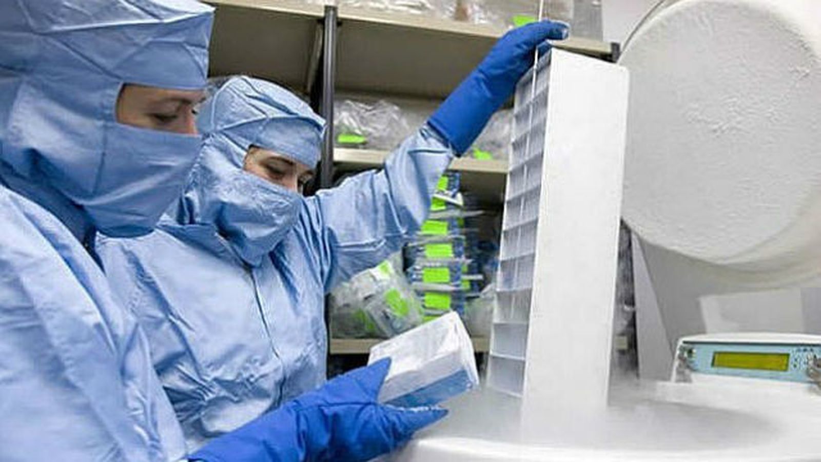 Nanopartículas podrían ayudar a la crioconservación de órganos para trasplantes