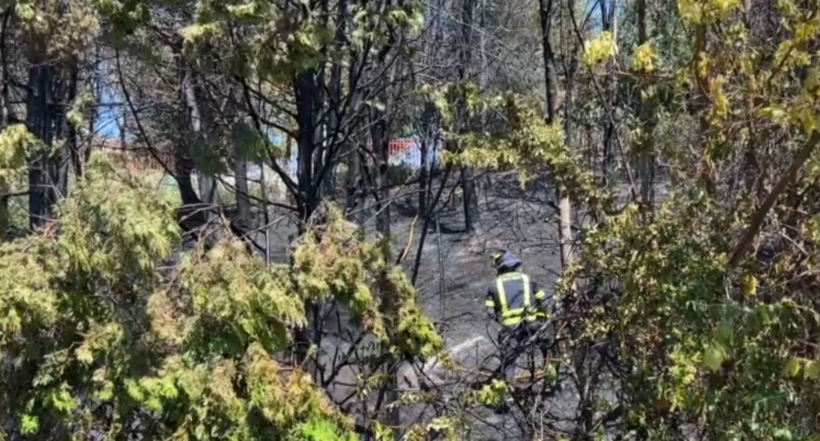 Incendio en una zona arbolada de la M-30