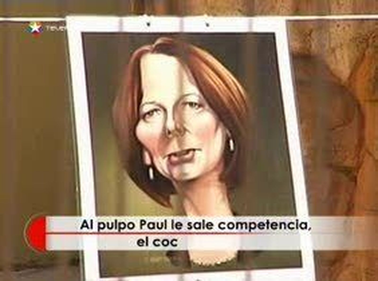 Harry: el primo del pulpo Paul