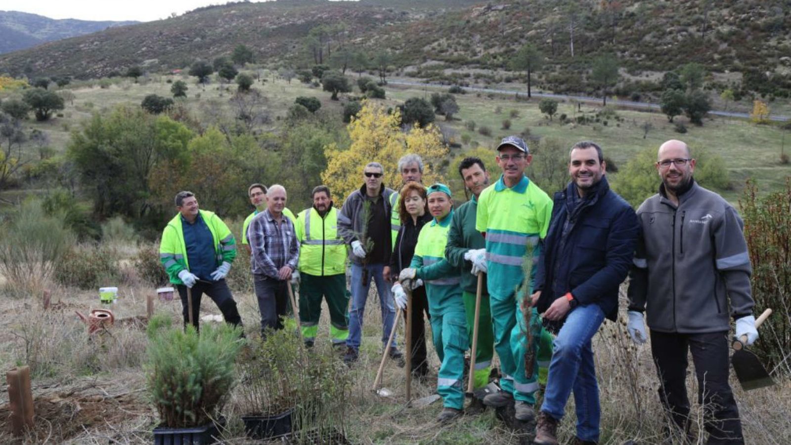 Plantan árboles en Robledo de Chavela (Foto: @ElIcebergMadrid)