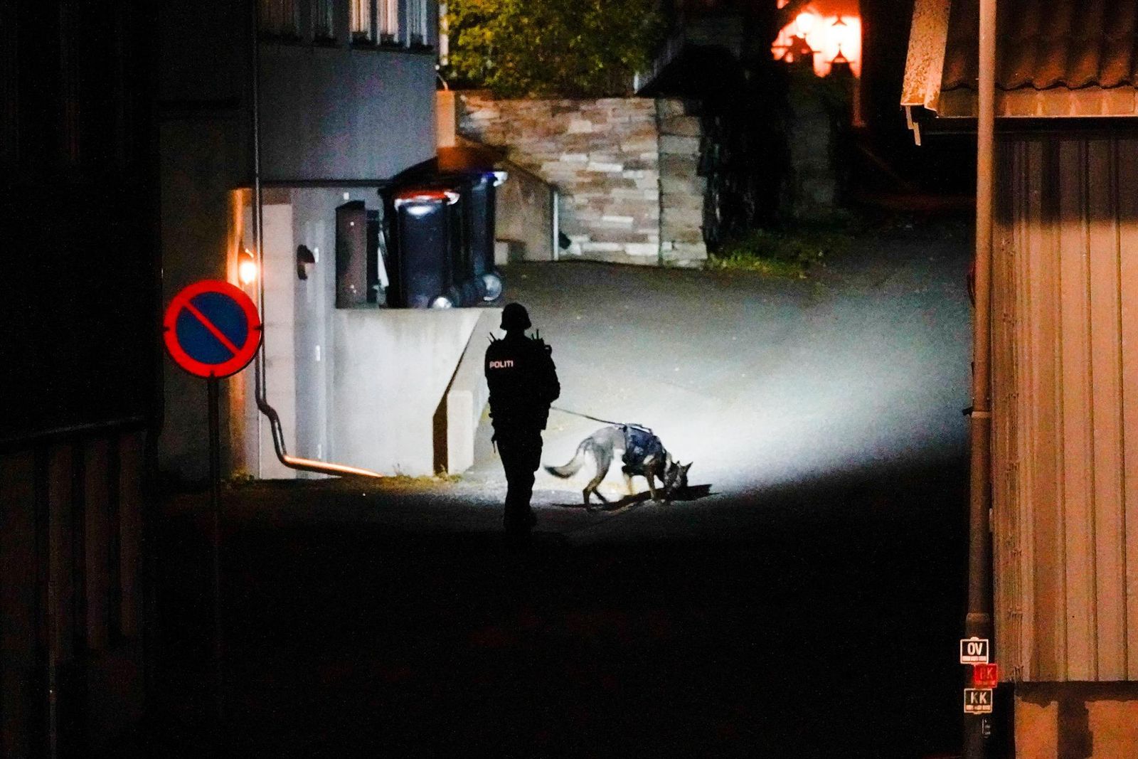 Investigación de la Policía noruega en Kongsberg