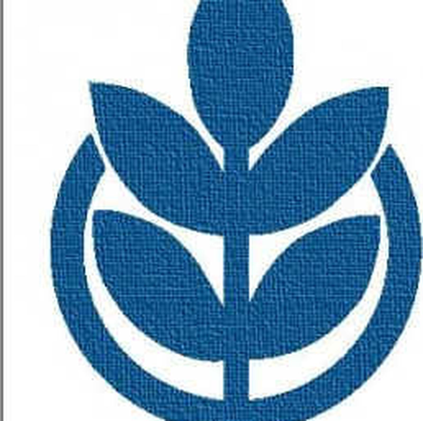 Asociaciones Provida aseguran que la nueva  ley "encubre" la eutanasia, pese al "nombre inventado"