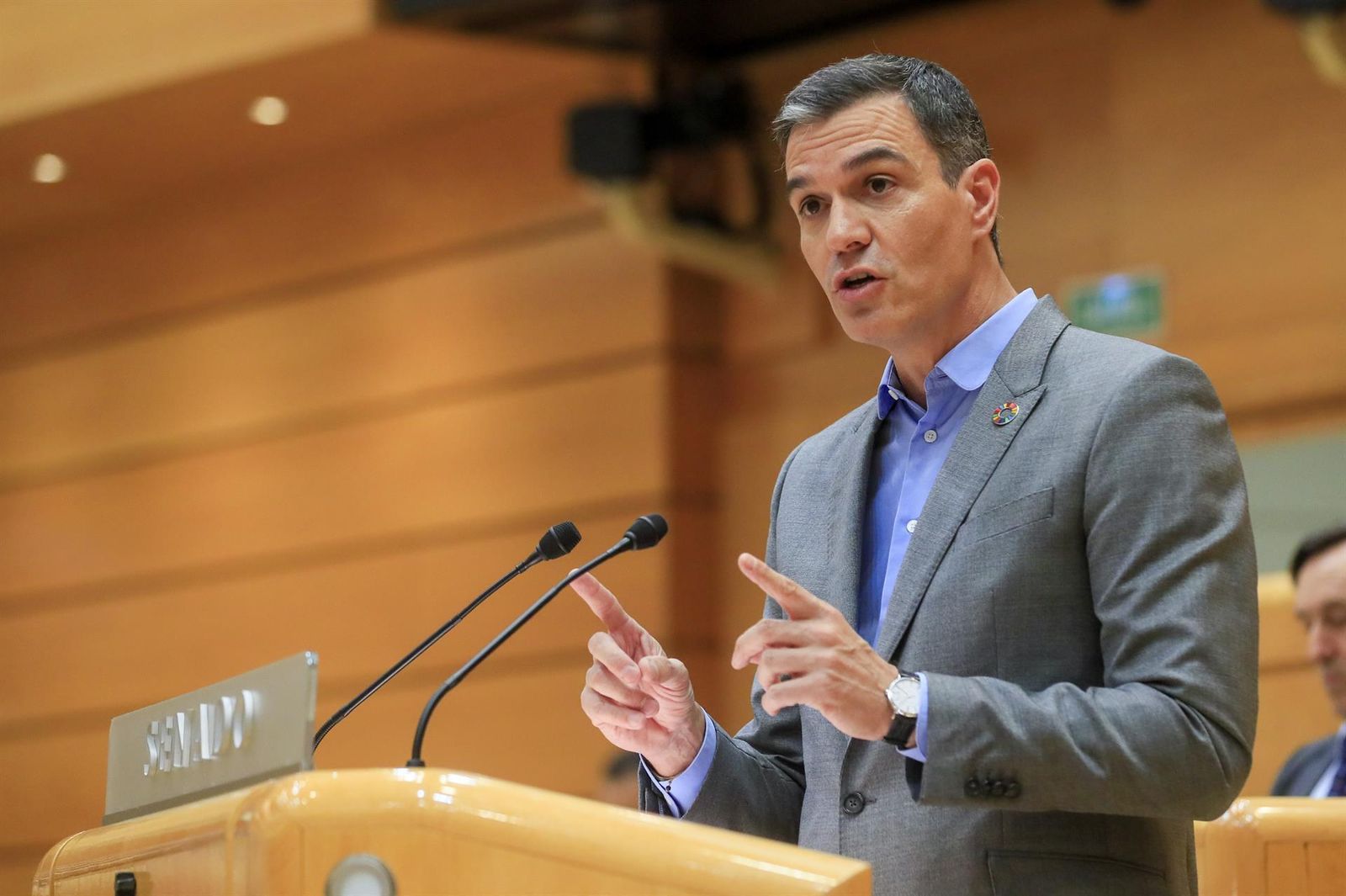 Comparecencia de Sánchez en el Senado