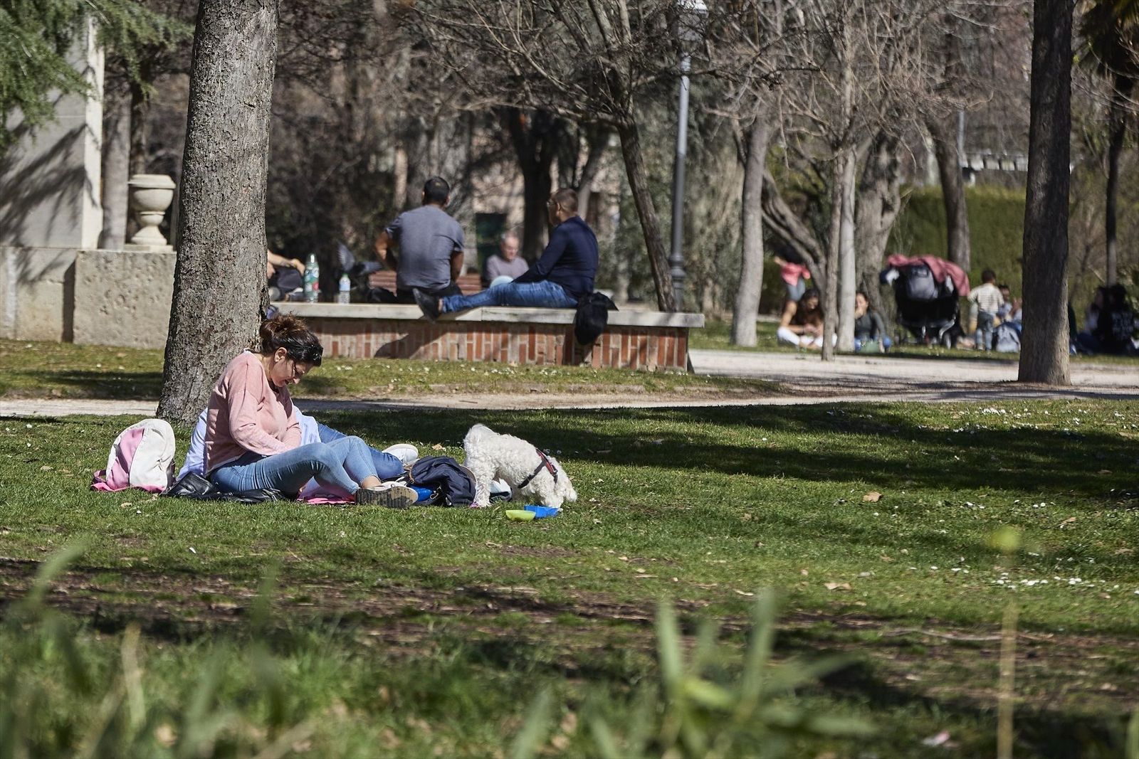 La importancia de las zonas verdes en las ciudades para combatir el calor