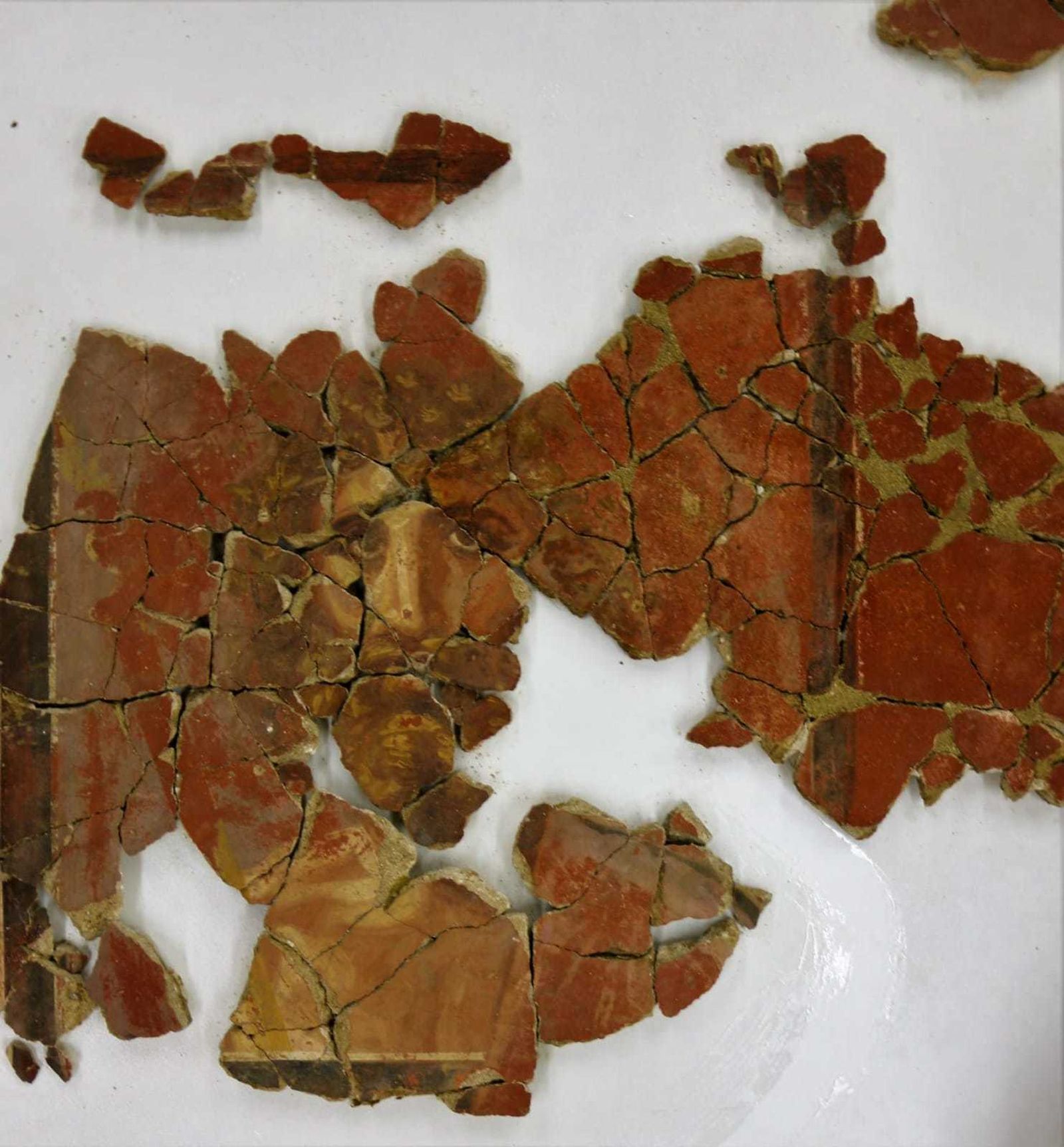 Una de las pinturas recuperadas en la  Casa de los Grifos de Complutum