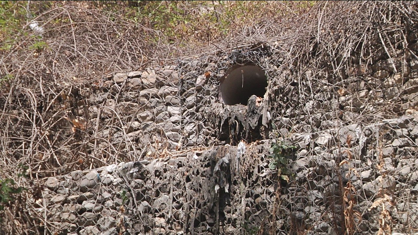 'Brotes' de aguas fecales en Arroyomolinos