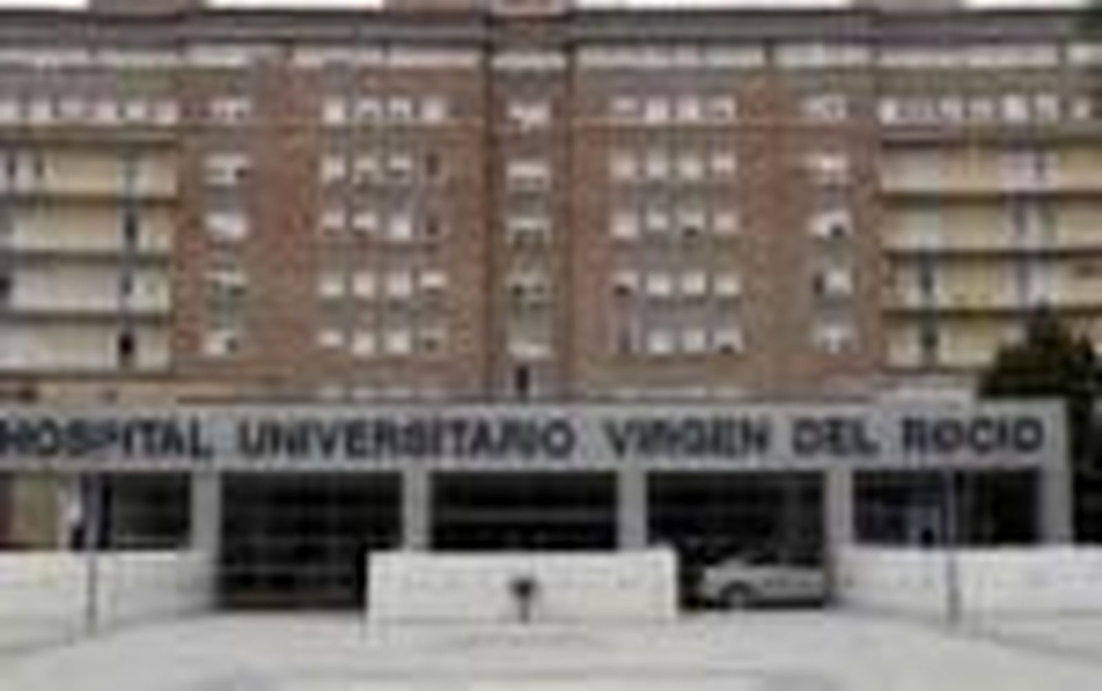 Fallece un joven apuñalado en un macrobotellón en la Isla de la Cartuja de Sevilla