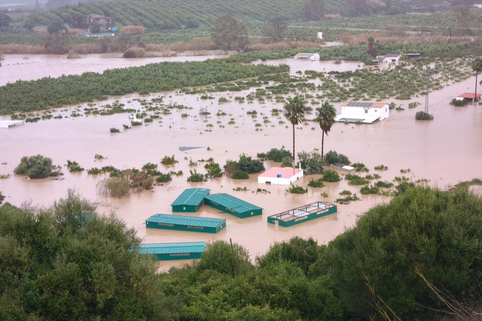 Andalucía, en máxima alerta por las inundaciones: ríos desbordados, desalojos masivos y rescates contrarreloj
