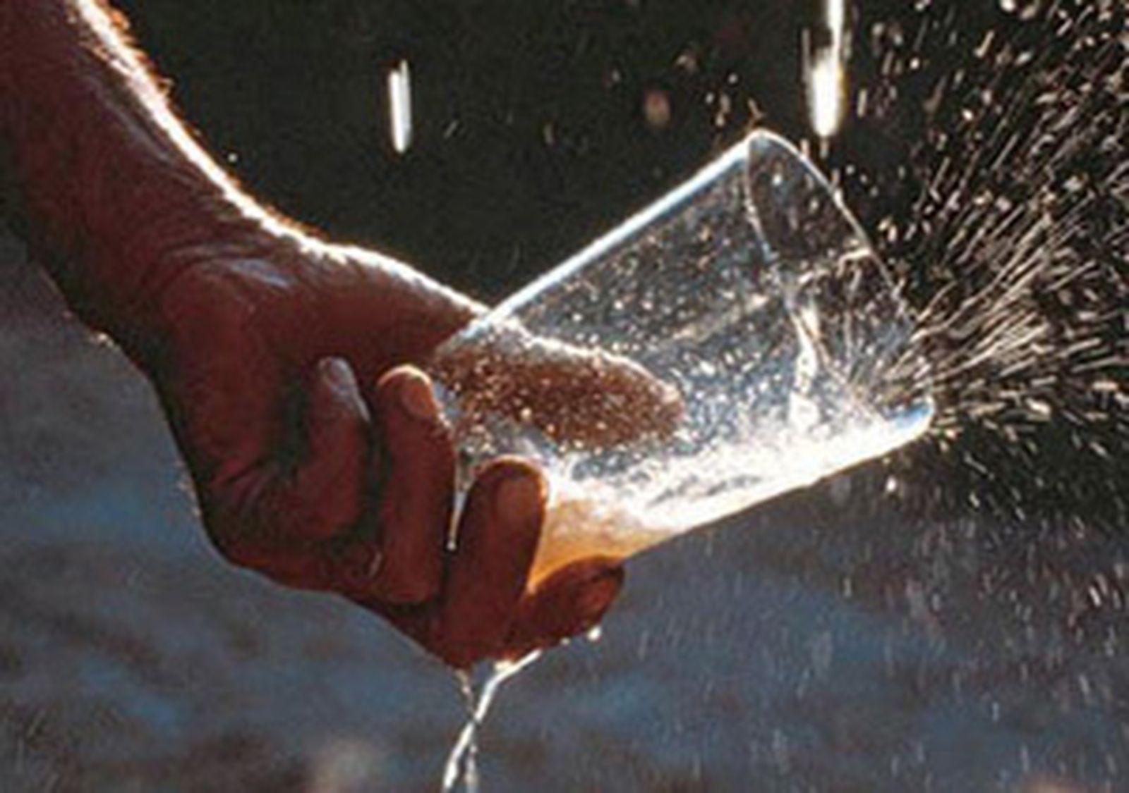 sidra_madrid470