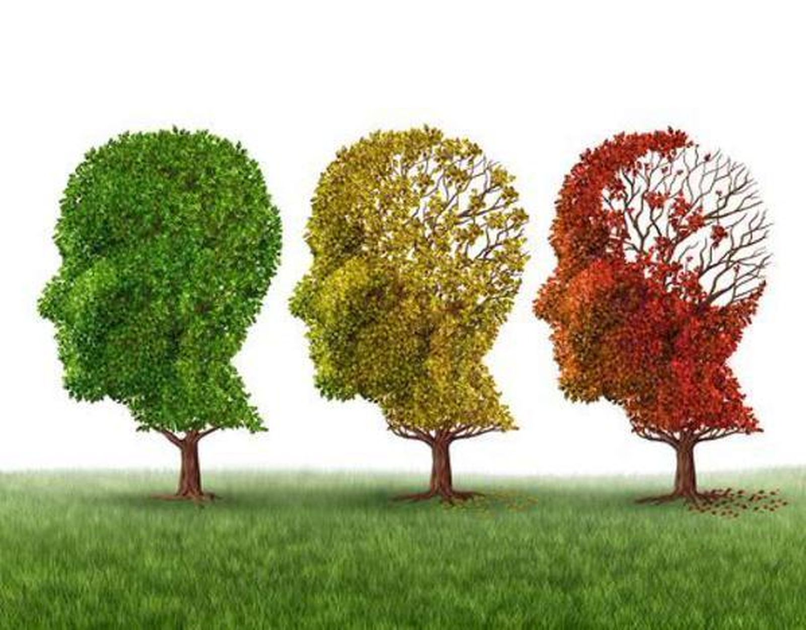 Una terapia experimental logra reducir una proteína vinculada al alzheimer