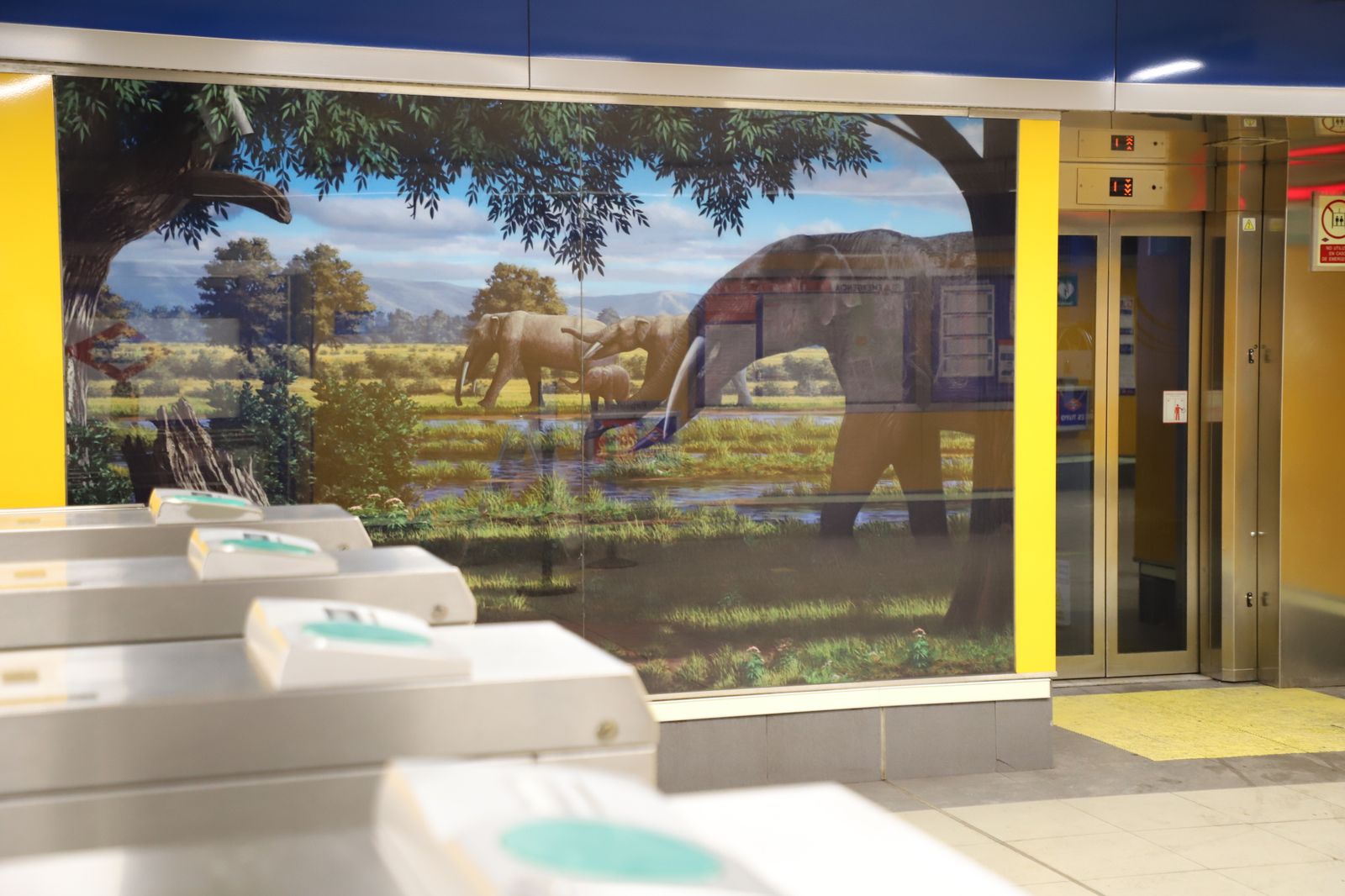 Un viaje al Mioceno madrileño en la estación de Metro de Carpetana