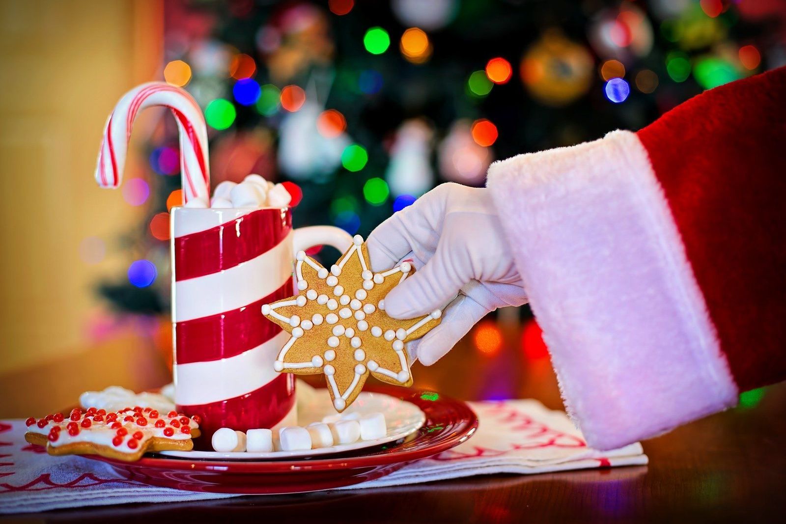 ¿En Navidad en España llega Santa Claus o Papá Noel? El catedrático Vilches responde