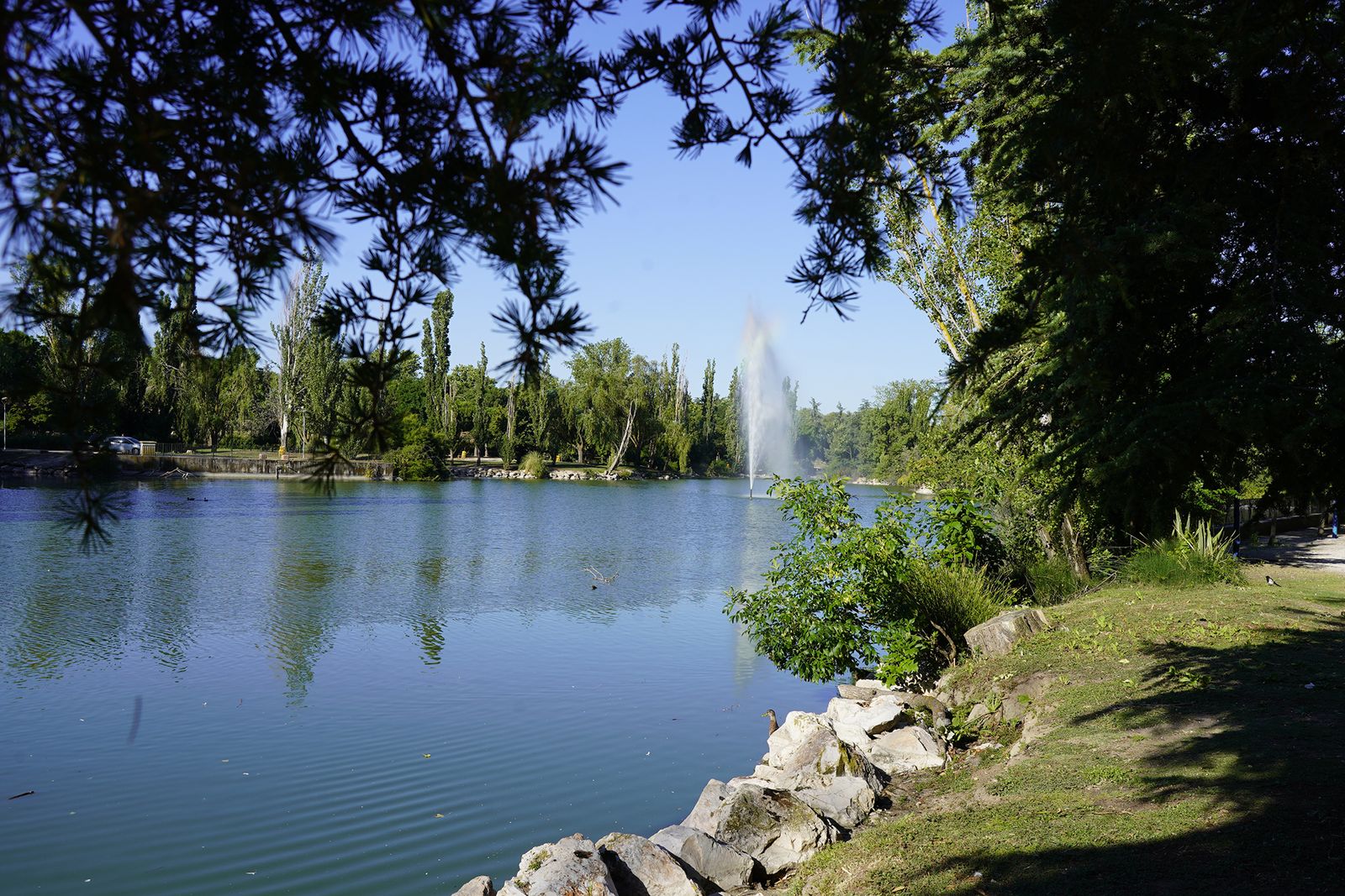 Parque Natural del Soto de Móstoles