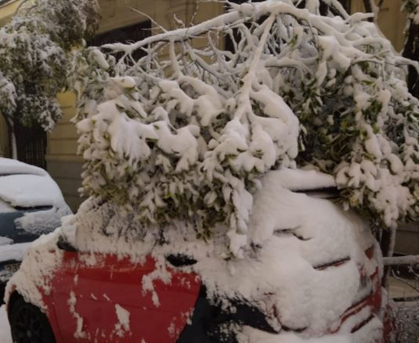 Más de 1.000 árboles caídos sobre el asfalto y los coches en Madrid
