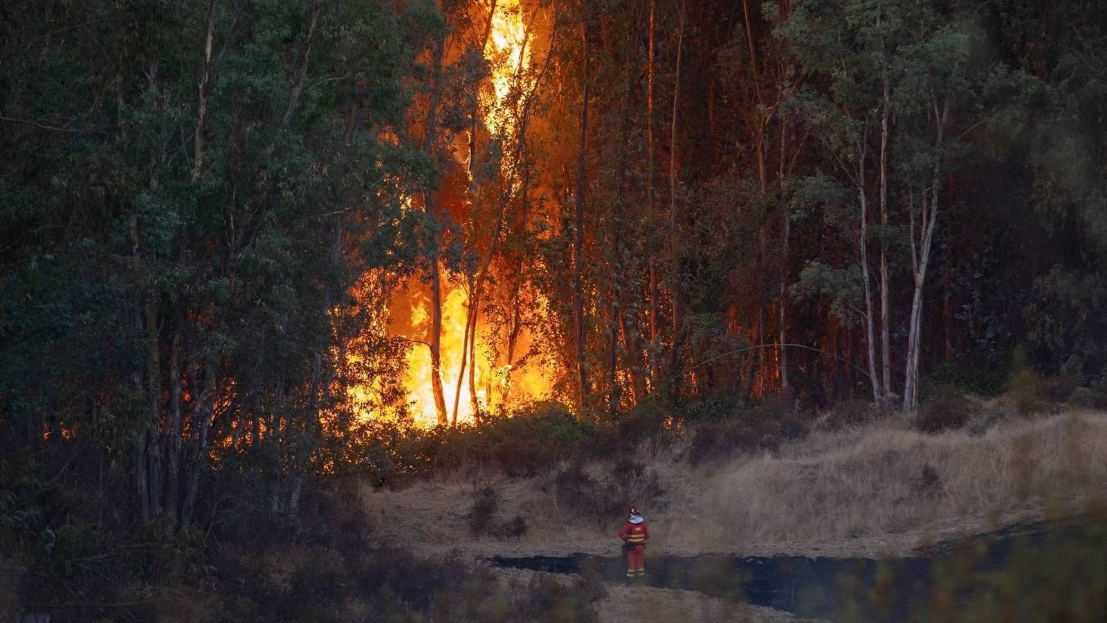 El incendio de Niebla alcanza una superficie de 8.000 hectáreas mientras 467 personas siguen evacuadas