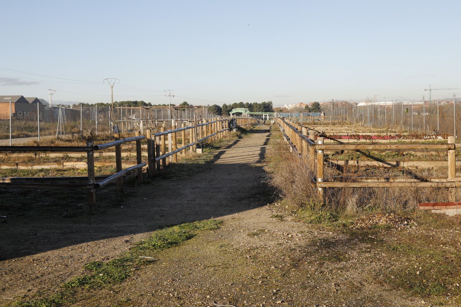 Huertos urbanos de Los Molinos, en Getafe
