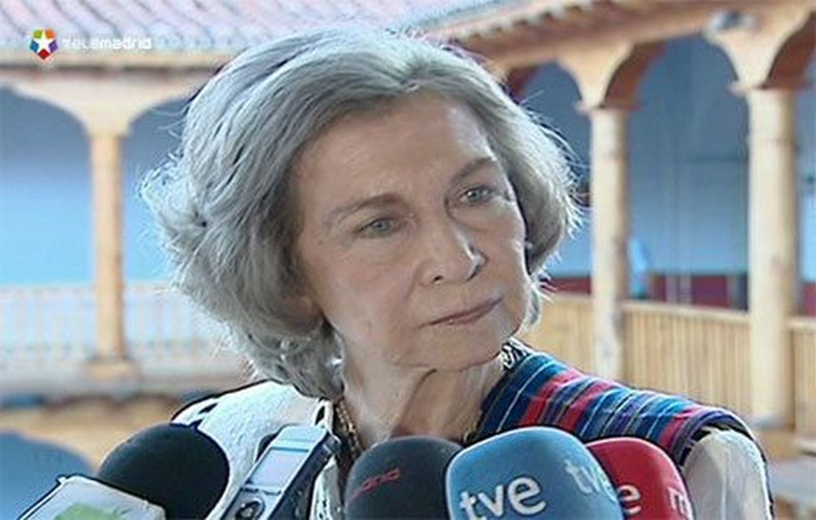 Doña Sofía, la Reina profesional