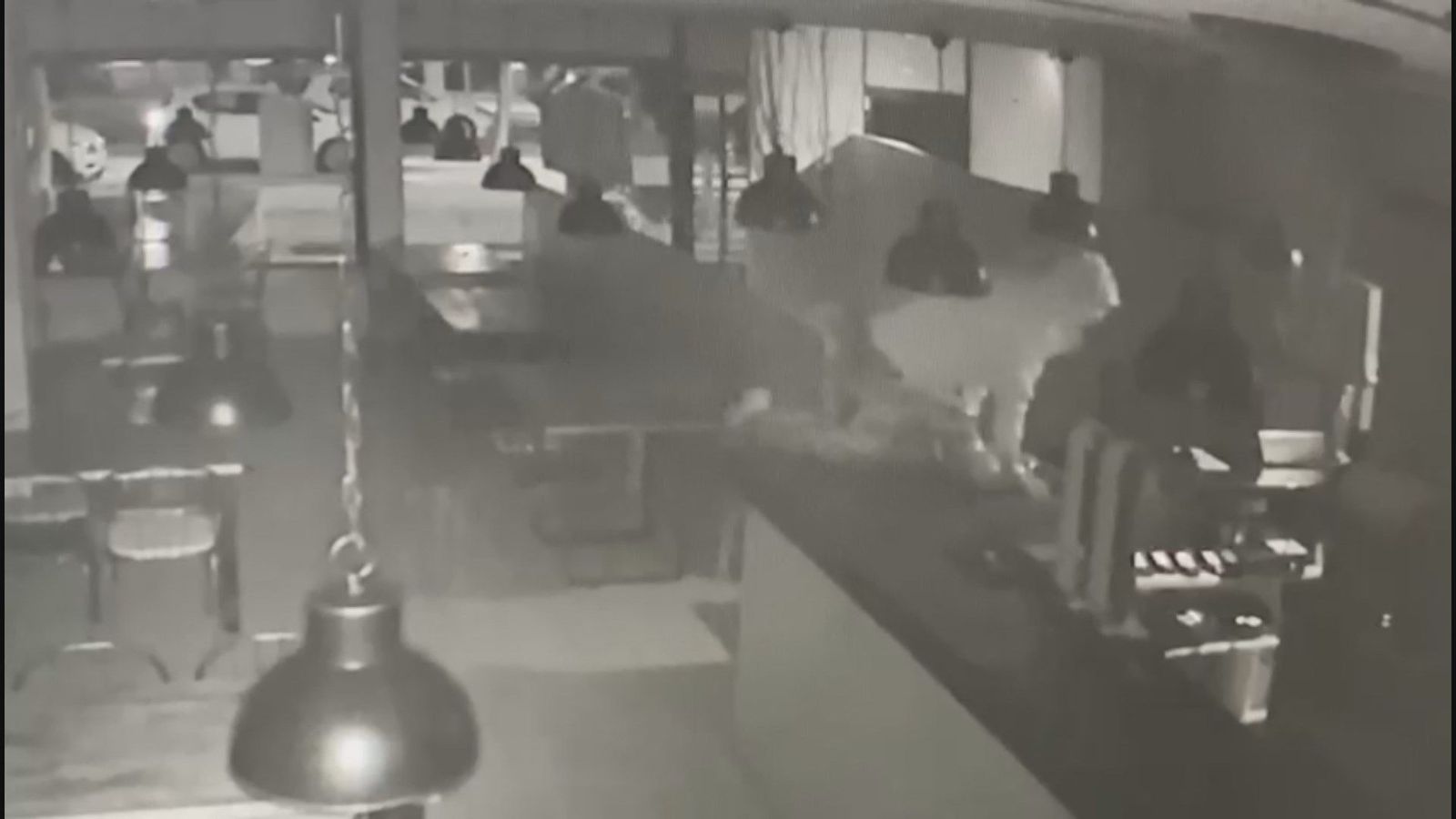 Robo mediante el método del alunizaje en una pizzería de Pozuelo de Alarcón