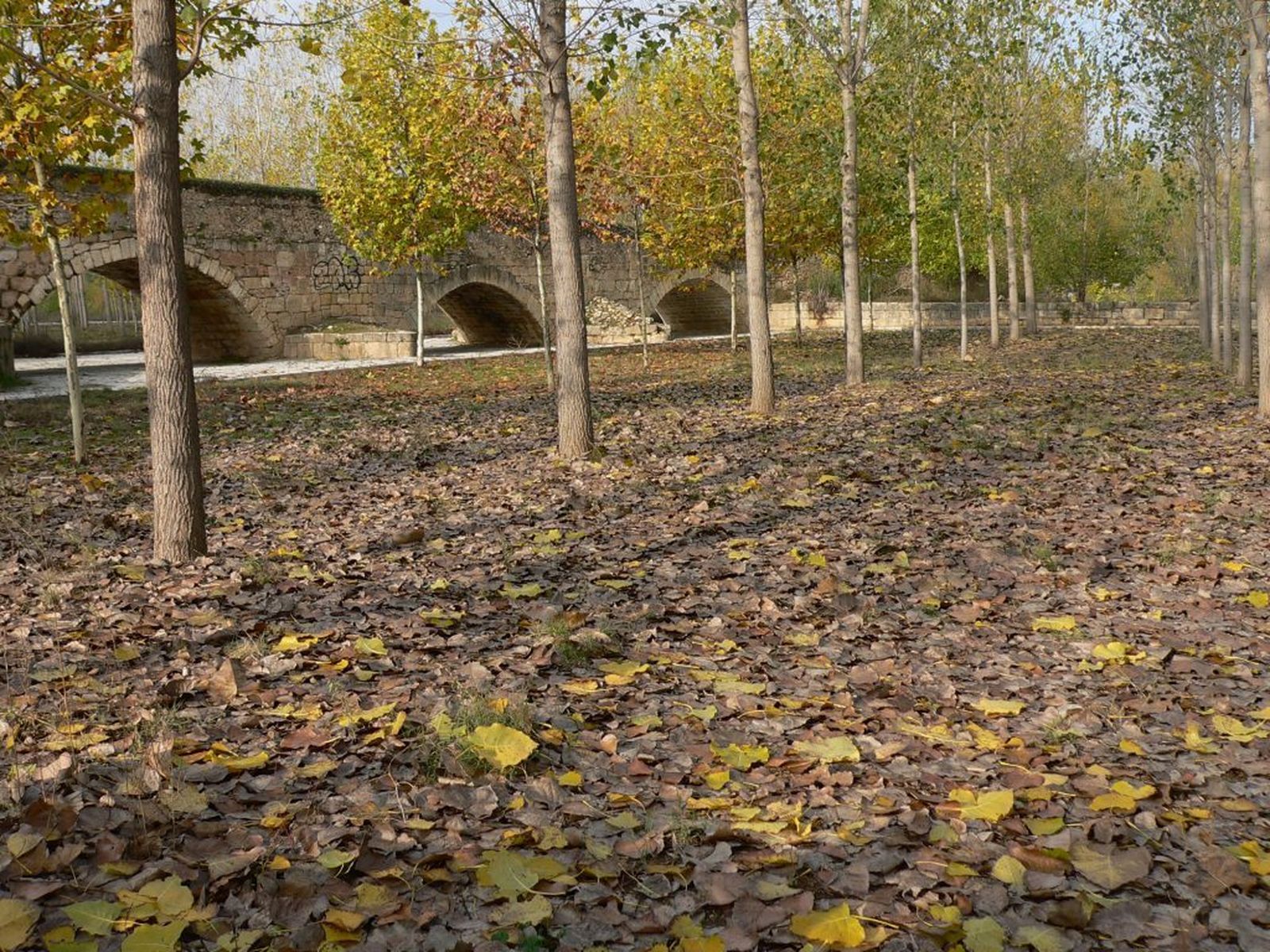 Puente medieval de Talamanca de Jarama
