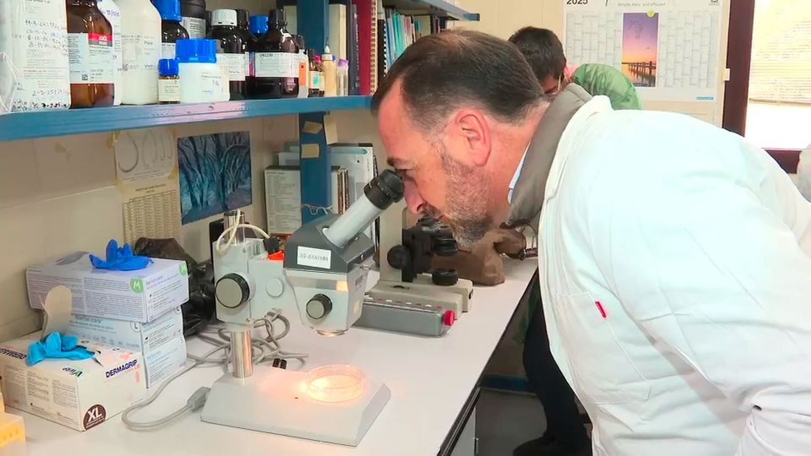 Así vigilan la salud del ganado en el Laboratorio Regional de Sanidad Animal de Colmenar Viejo