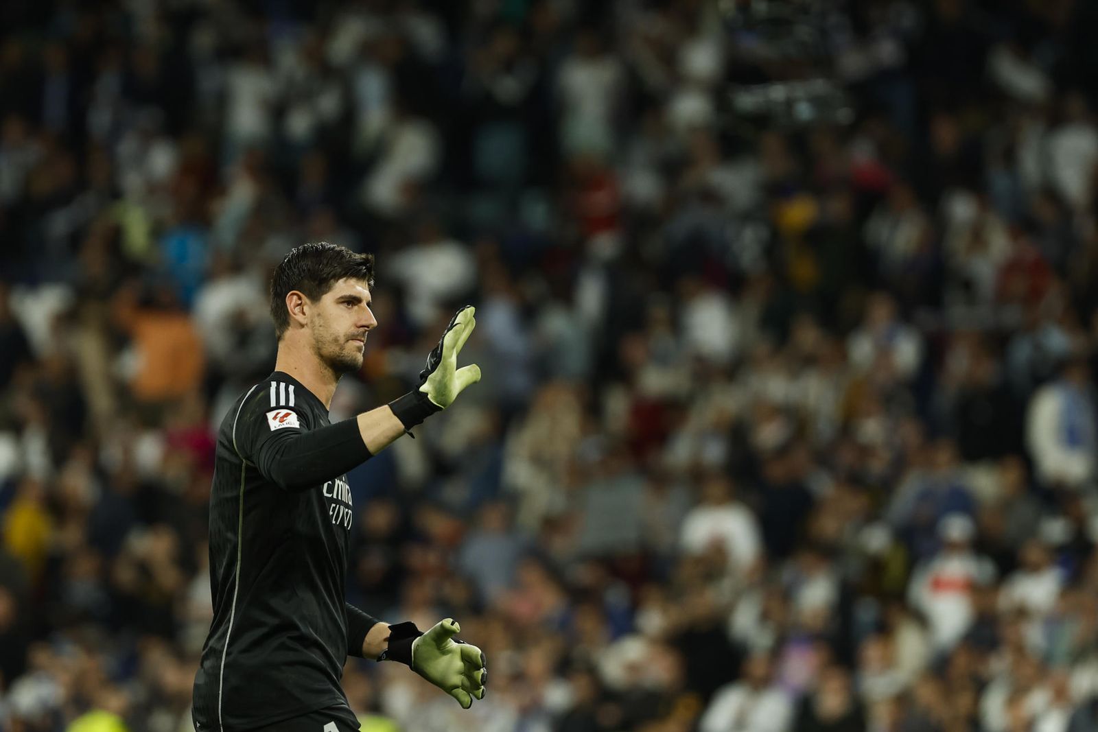 Courtois
