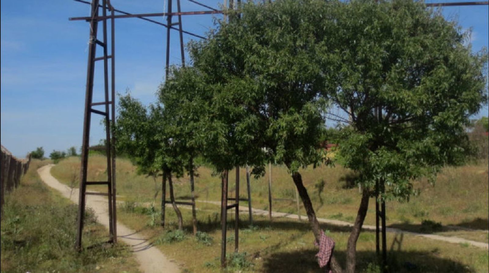 Vías pecuaria
